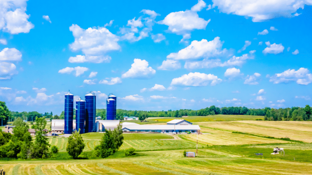 untitled (website) (5)